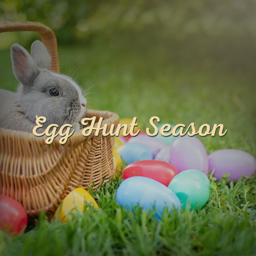 Egg Hunt Season